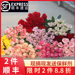 香水百合 优雅芬芳的礼品花卉之选