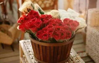 花点时间 上线两年用户破500万，B轮融资引领礼品花卉销售新潮流